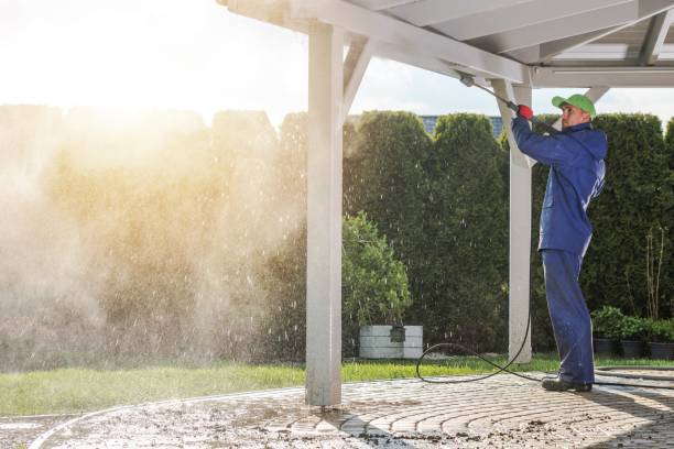 Best Fence Cleaning  in Rainbow Springs, FL